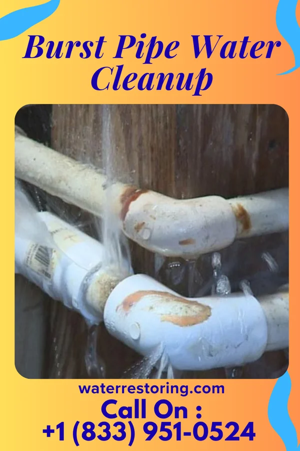 Burst Pipe Water Cleanup in Lakeview, OH