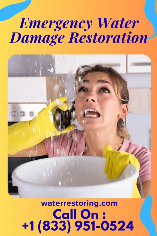 Emergency Water Damage Restoration in Lakeview, OH