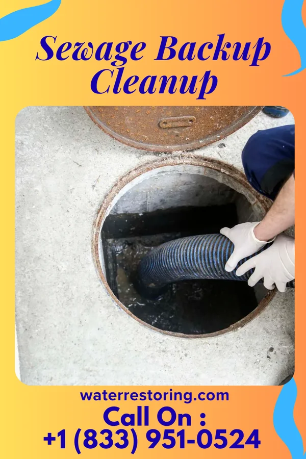 Sewage Backup Cleanup in Lakeview, OH