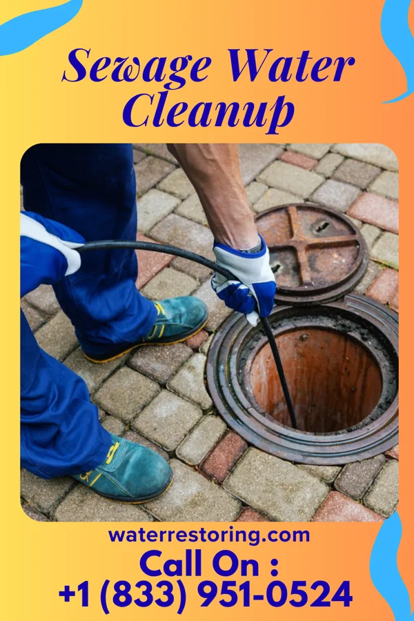 Sewage Water Cleanup in Lakeview, OH